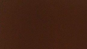 Un canino resultó ser un buen cuidador de pequeños.