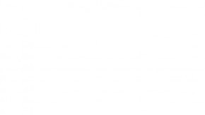 Brodie es un perro con cara deforme que es una celebridad en Instagram.