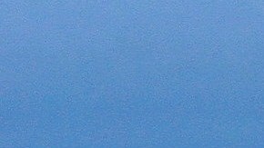 Existen varias ciudades en el mundo que puedes conocer con tu can.