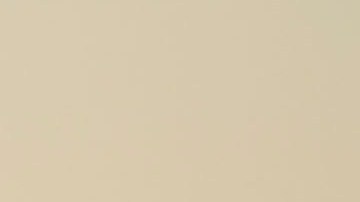 La pérdida de una mascota puede ser tan dolorosa como la de un ser querido.