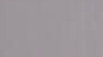 Las mascotas pueden  comenzar a familiarizarse con el bebé aún antes de su llegada mediante el olfateo de su futura ropa.