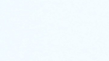 Niños que crecen con perros disminuyen posibilidad de desarrollar esquizofrenia.