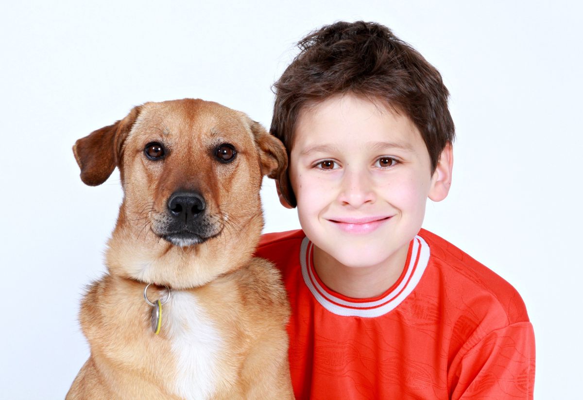 Niños que crecen con perros disminuyen posibilidad de desarrollar esquizofrenia.