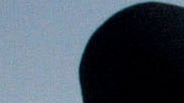 Los gruñidos de un perro no necesariamente significan agresión.