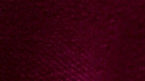 Los perros pueden comer helado, pero solo a base de agua, frutas y sin azúcar