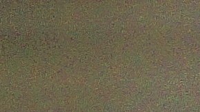 Para enseñar a un perro a dejar de ladrar se debe comenzar con un entrenamiento animando al can a que lo haga.