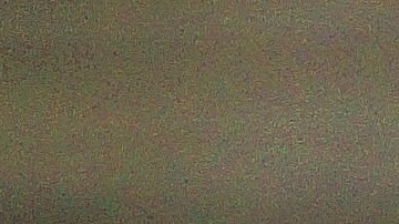 Para enseñar a un perro a dejar de ladrar se debe comenzar con un entrenamiento animando al can a que lo haga.