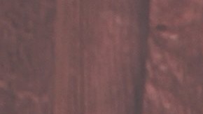 Tanto a los perros como a los niños se les debe inculcar el respeto mutuo.