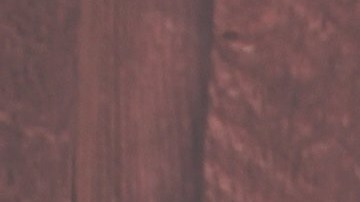 Tanto a los perros como a los niños se les debe inculcar el respeto mutuo.