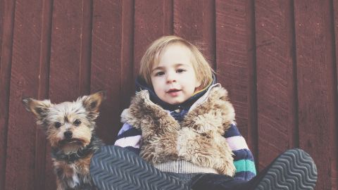 Tanto a los perros como a los niños se les debe inculcar el respeto mutuo.