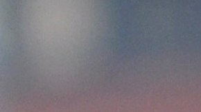 El uso de cubrebocas en un perro no tiene utilidad alguna.