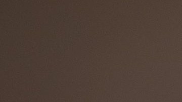 El xoloitzcuintle es un can silencioso, tranquilo, alegre, inteligente, siempre alerta y un guardián que no es agresivo.