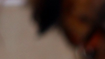 El aprendizaje de la mascota se puede facilitar con la ayuda de un cliker.