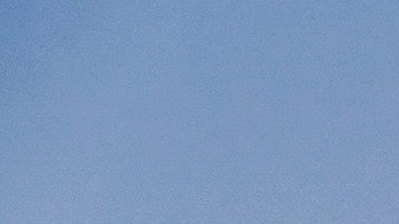 Los perros y sus dueños pueden disfrutar juntos de la playa con algunas consideraciones.