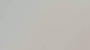 Algunas razas de perro toleran mejor la soledad que otras.