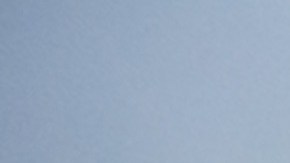 Shiro cuida a los animales a los que su ama definitiva da refugio