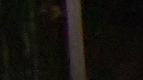 Ama le juega una broma musical a su perro.