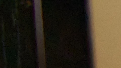 Ama le juega una broma musical a su perro.