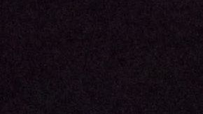 Los perros ancianos tienen menor actividad física.