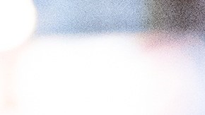 Los perros de los refugios en Nueva York están escaseando por la adopción masiva.