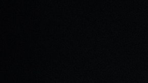 Un collie siempre será tranquilo.