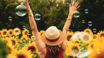 photography-of-woman-surrounded-by-sunflowers-1263986