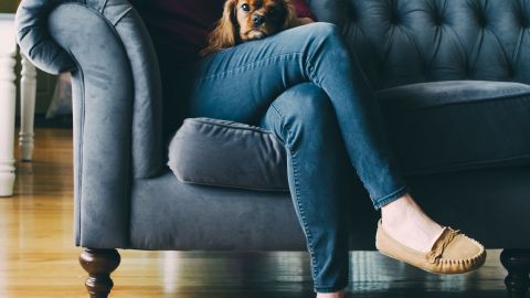 ¿No tienes pesas? No importa, tu perro está ahí para ayudarte a entrenar.