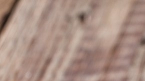 plátanos-istetiana-Canva