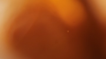 pollo agridulce-resnick_joshua-C