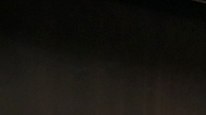 Carlos Hernández Gutiérrez (d), coordinador de la FRAO, junto a Jeff Failing, quien se mudó de EEUU a México. / fotos: Manuel Ocaño.