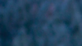 Qué hacer si vas a un lugar con mucho frío. *Foto: Daniel Bowman vía Unsplash.