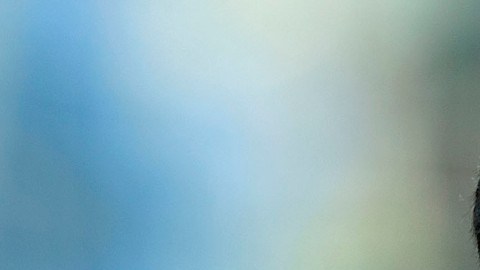 Rafita consideró que la liga estadounidense tiene una mentalidad emprendedora.