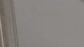 Varios sistemas del Metro van vacíos mientras otros continúan a capacidad. (Suministrada)