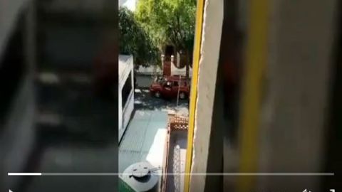 Revelan video de escena del crimen donde asesinaron a actor de doblaje de Dragon Ball
