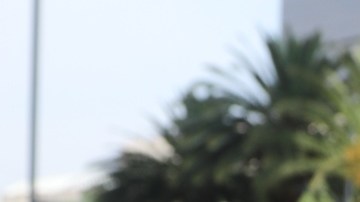 Un "cachito" para la rifa del avión presidencial.