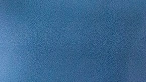 rodolfo pizarro gesto aficionado