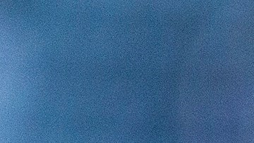 rodolfo pizarro gesto aficionado