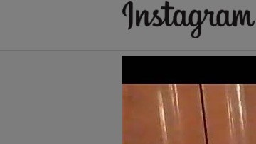 Los gatos son los auténticos reyes de internet.