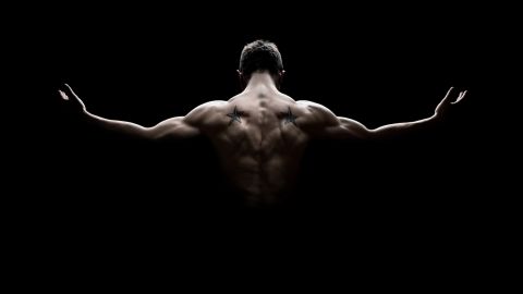 músculos masa muscular