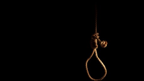 El joven se colgó en un árbol que había en su casa.