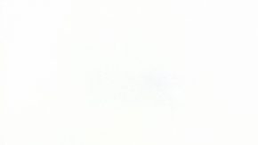 Suplementos con sidra de manzana.