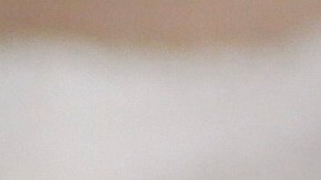 shutterstock_1579352263