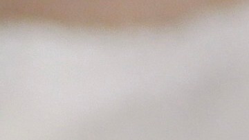 shutterstock_1579352263