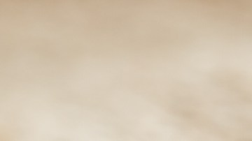 té de rooibos