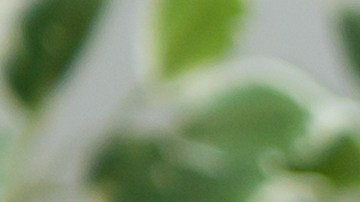 Washington encabeza el listado.