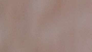 shutterstock_518381215