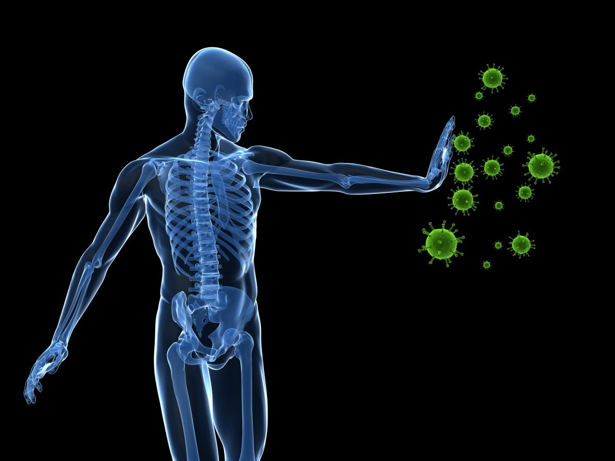 Qué es el sistema imunológico y cómo podemos fortalecerlo? - La Opinión