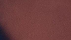 shutterstock_708732331