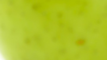 Apps para aprender brujería.