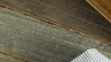 Sopa Frijol-bhofack2-Canva